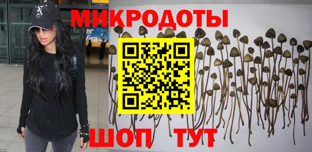 Димитровград  Галлюциногенные грибы прущие грибы  Вход с VPN 